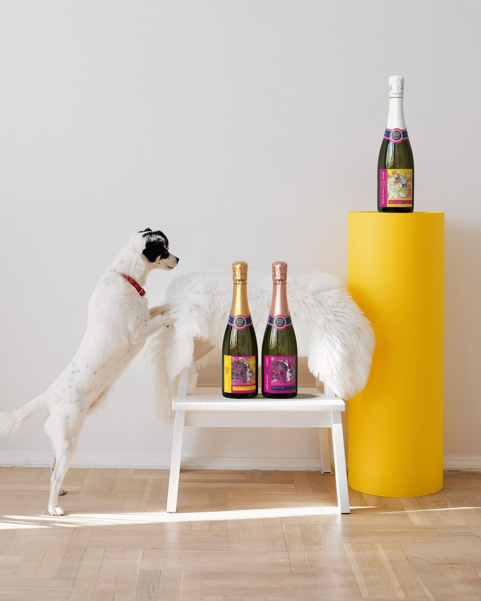 Rescue Dog Wines bottles