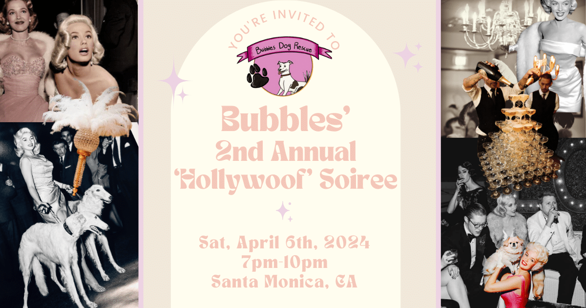Bubbles' 2nd Annual "Hollywoof" Soirée | Rescue Dog Wines