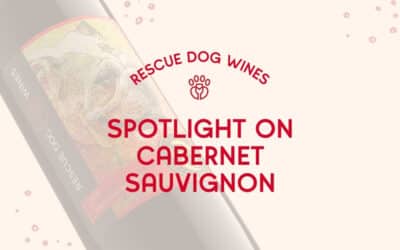 Spotlight on Cabernet Sauvignon