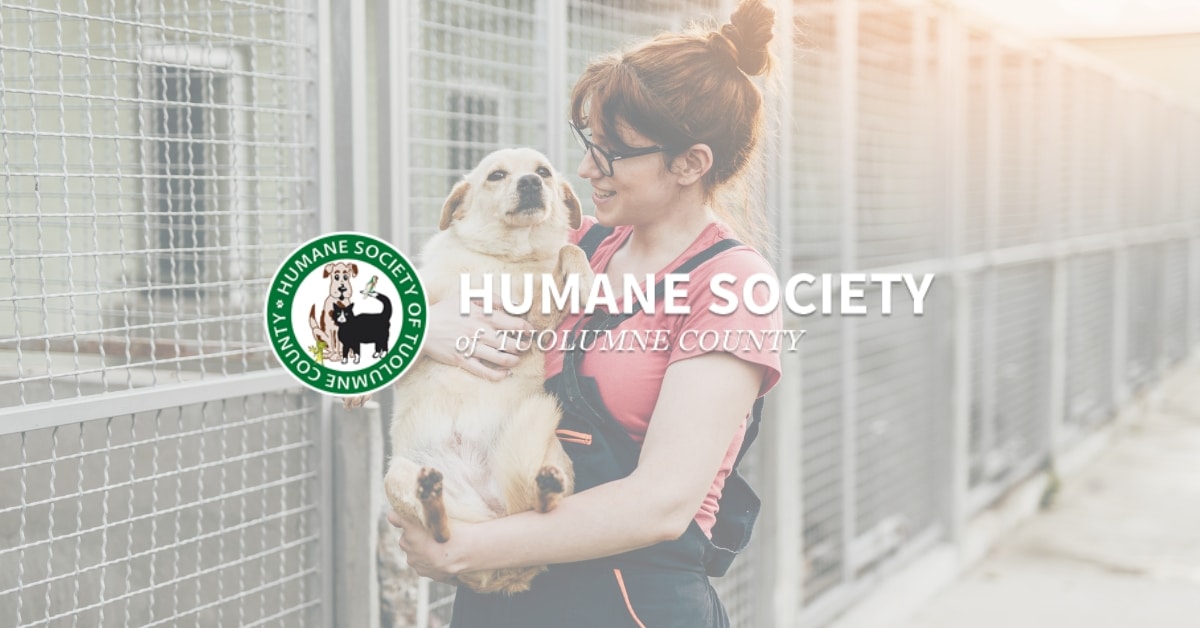 Arts & Whines | Rescue Dog Wines